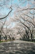 北京足球比分-北京足球比分,赛场烽火映照城市荣耀与梦想