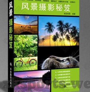 竞彩网竞彩足球比分直播-揭秘竞彩网,如何通过竞彩足球比分直播玩转足球投资新体验