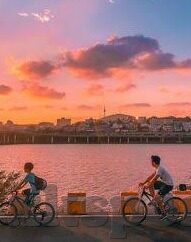 实时比分足球-实时比分足球,科技赋能,重塑观赛新体验