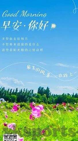 足球比分哪正规-揭秘足球比分正规渠道,如何避开野鸡陷阱,锁定权威数据源